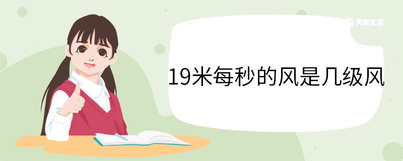 19米每秒的风是几级风