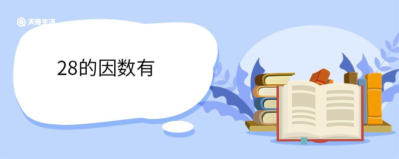 28的因数有
